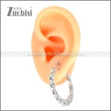 Stainless Steel Earring e002696S