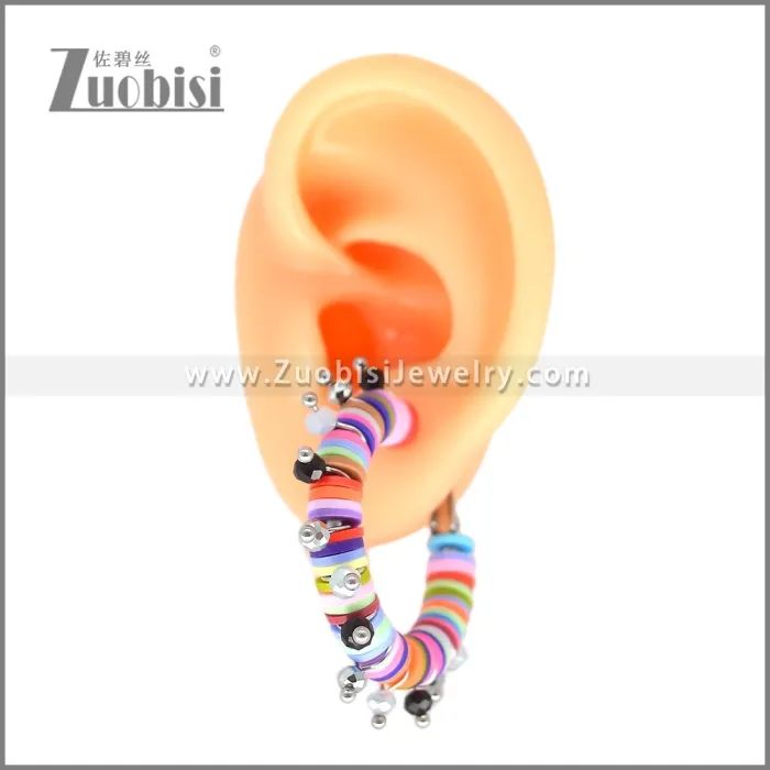 Stainless Steel Earring e002700C2