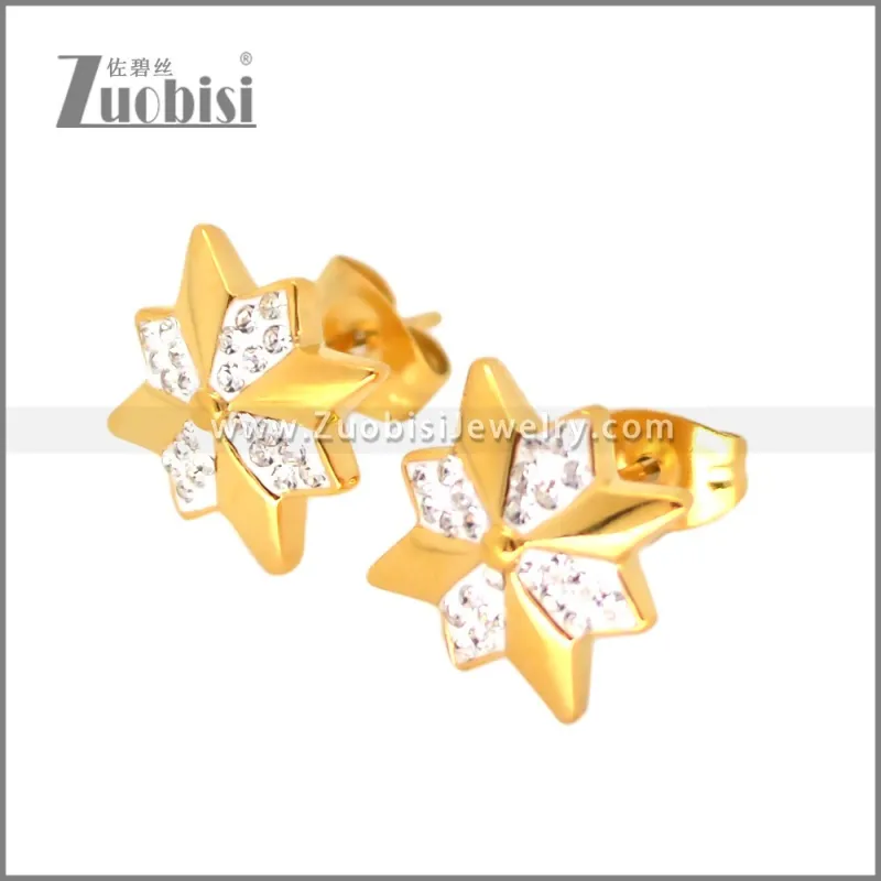 Stainless Steel Earring e002698G