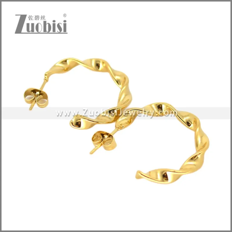 Stainless Steel Earring e002694G