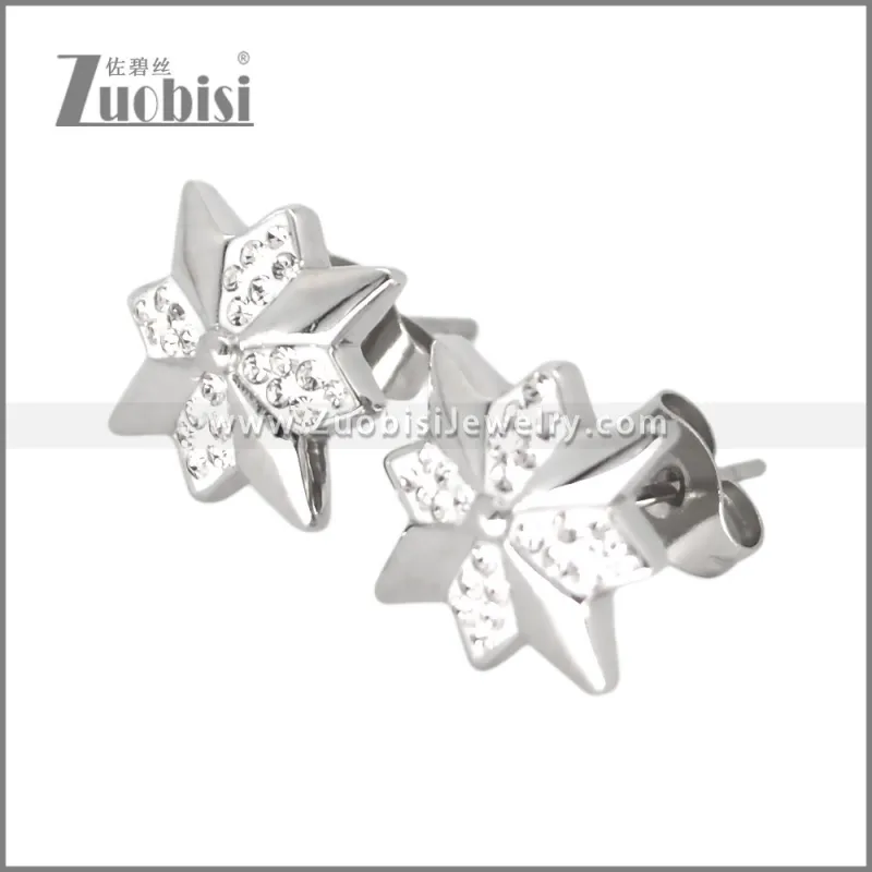 Stainless Steel Earring e002698S