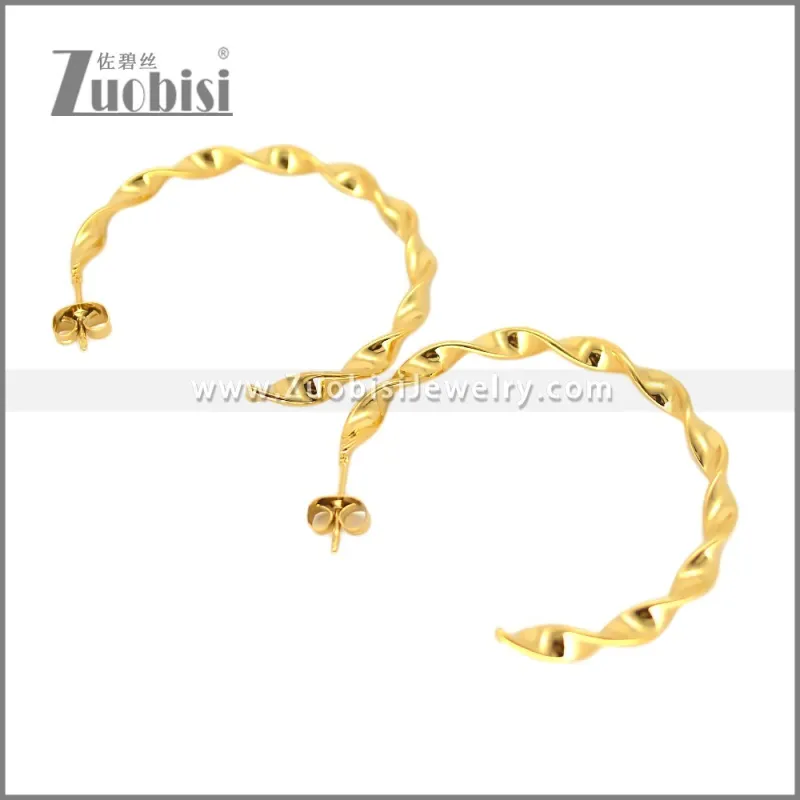 Stainless Steel Earring e002695G