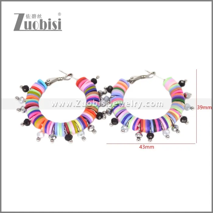 Stainless Steel Earring e002700C2