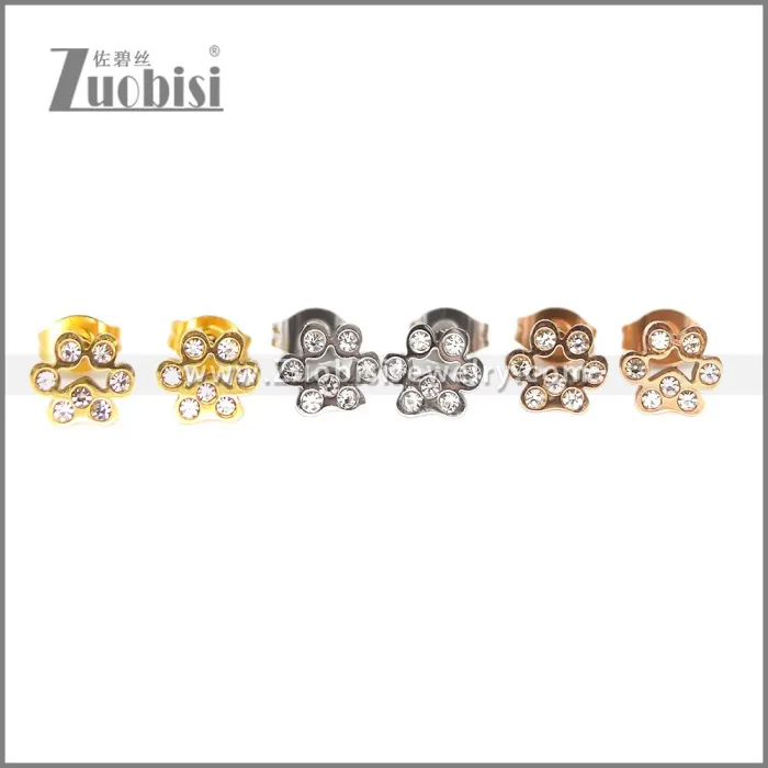 Stainless Steel Earring e002701S