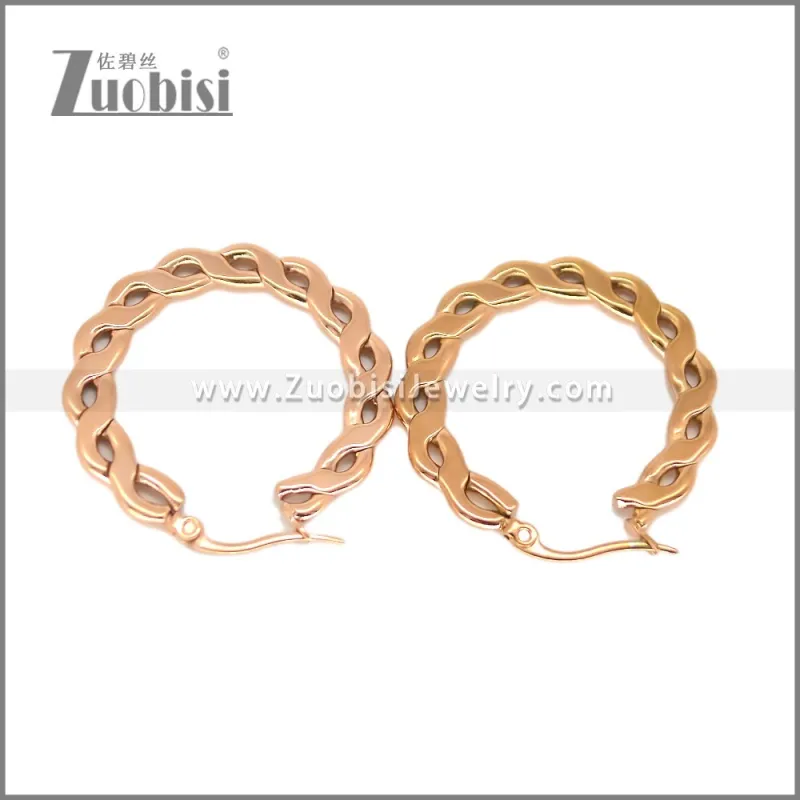 Stainless Steel Earring e002696R