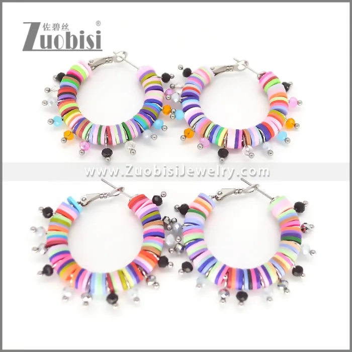 Stainless Steel Earring e002700C2