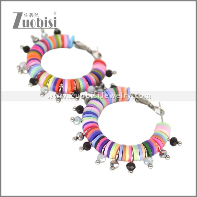 Stainless Steel Earring e002700C2