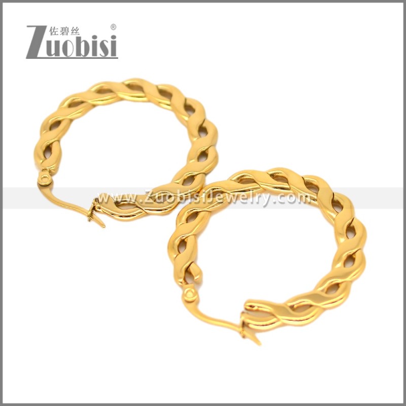Stainless Steel Earring e002696G
