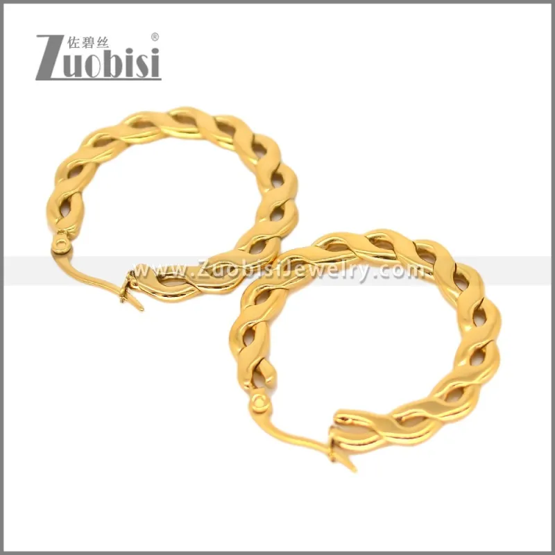 Stainless Steel Earring e002696G