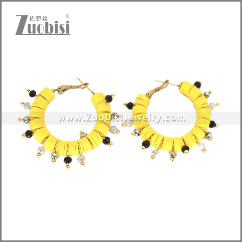 Stainless Steel Earring e002699G1