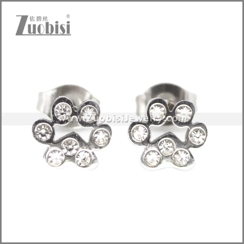 Stainless Steel Earring e002701S