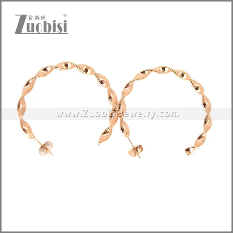 Stainless Steel Earring e002695R