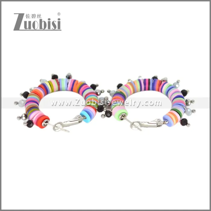 Stainless Steel Earring e002700C2