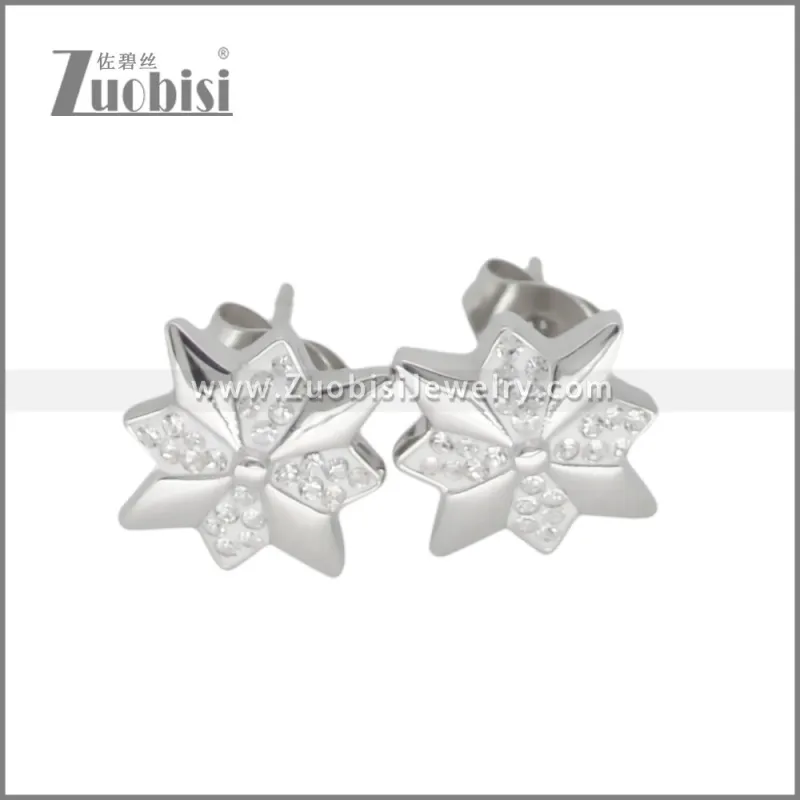 Stainless Steel Earring e002698S
