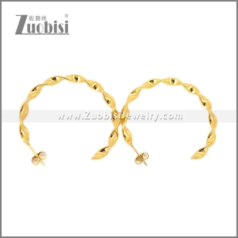 Stainless Steel Earring e002695G