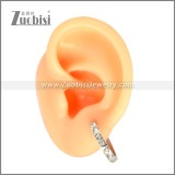Stainless Steel Earring e002697S