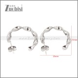 Stainless Steel Earring e002694S