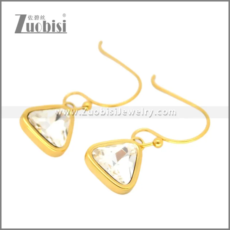 Stainless Steel Earring e002703G1