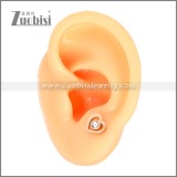 Stainless Steel Earring e002704R