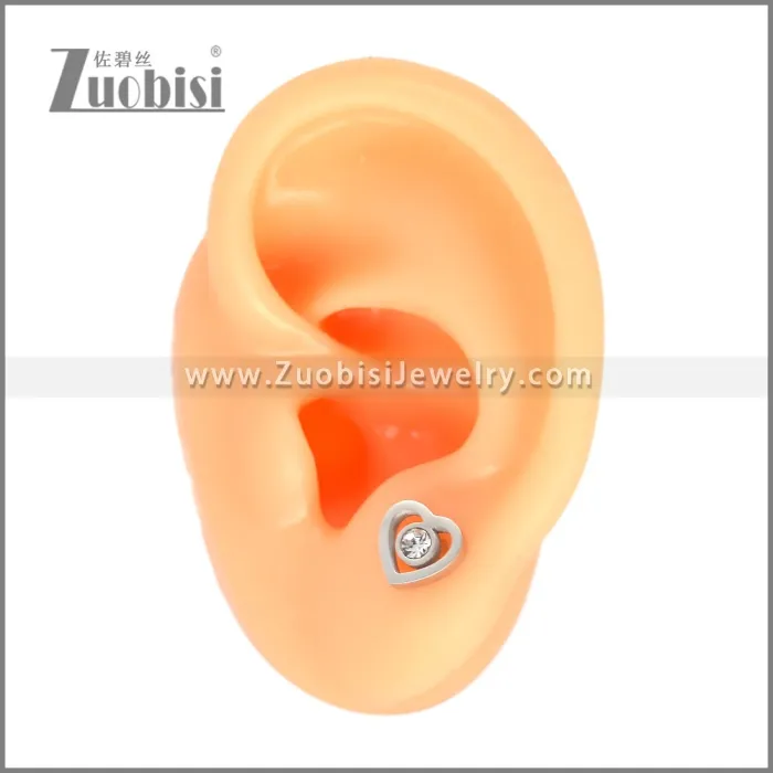 Stainless Steel Earring e002704S