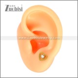 Stainless Steel Earring e002704G