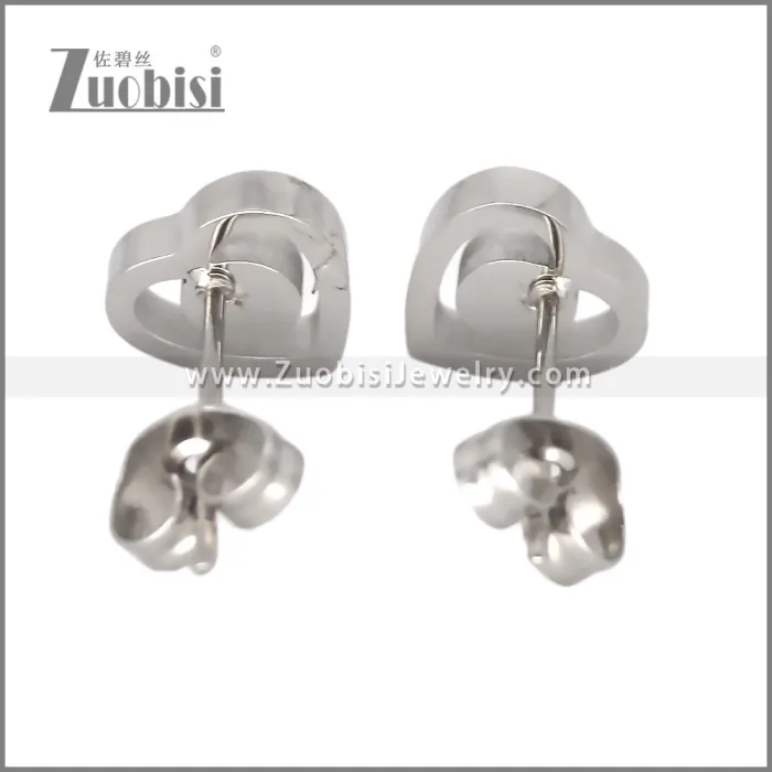 Stainless Steel Earring e002704S