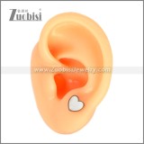 Stainless Steel Earring e002705R