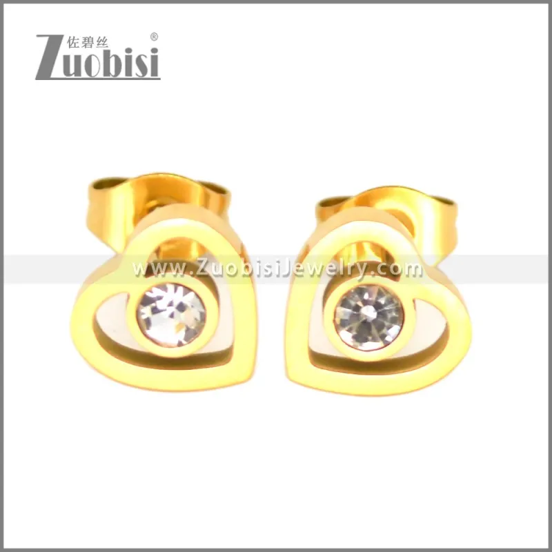 Stainless Steel Earring e002704G