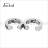 Stainless Steel Earring e002708S1
