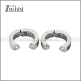 Stainless Steel Earring e002708S2