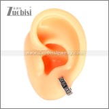 Stainless Steel Earring e002708S1