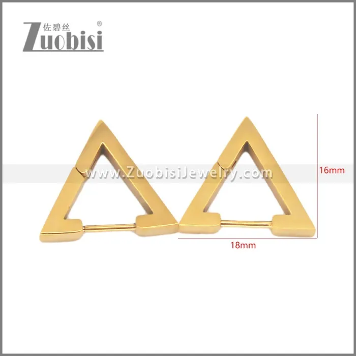 Stainless Steel Earring e002709G