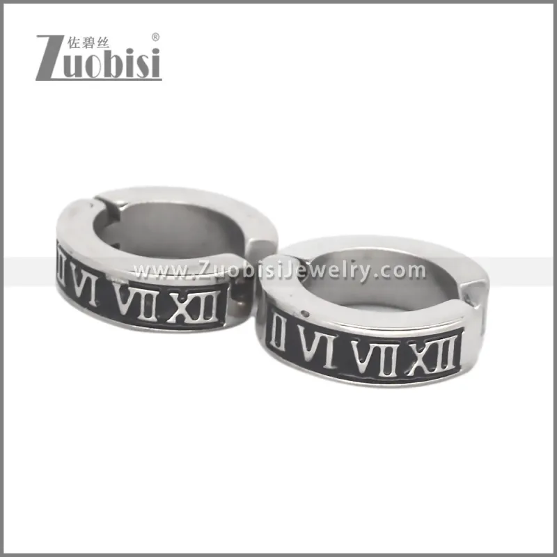 Stainless Steel Earring e002708S1