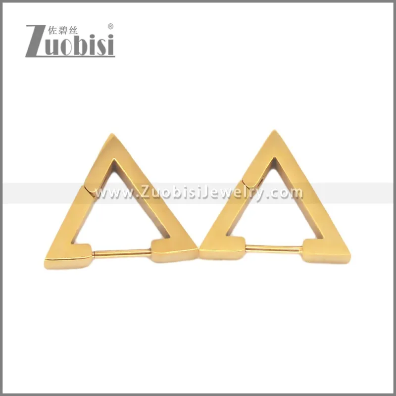 Stainless Steel Earring e002709G