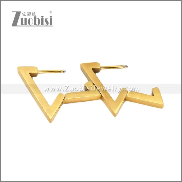 Stainless Steel Earring e002709G