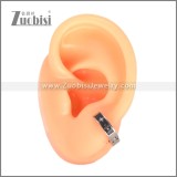 Stainless Steel Earring e002708S2