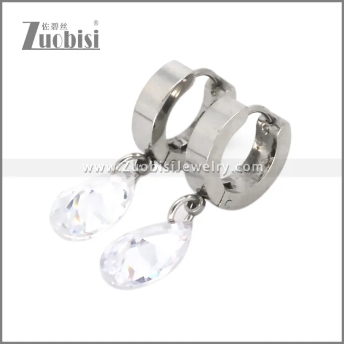Stainless Steel Earring e002721