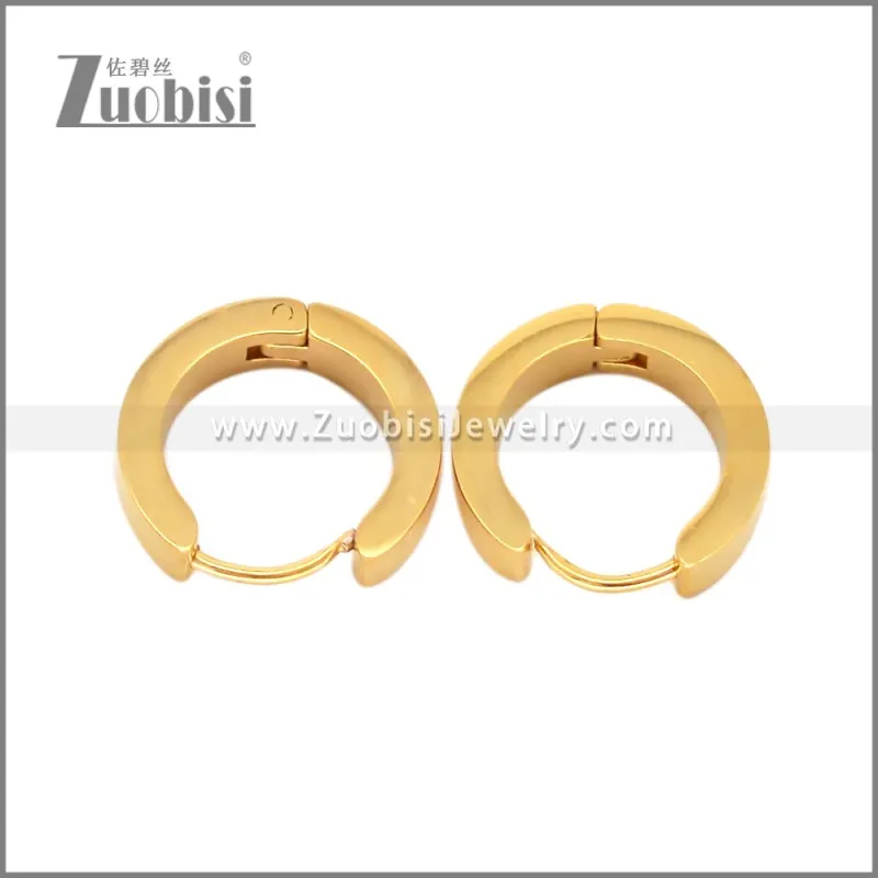 Stainless Steel Earring e002714G