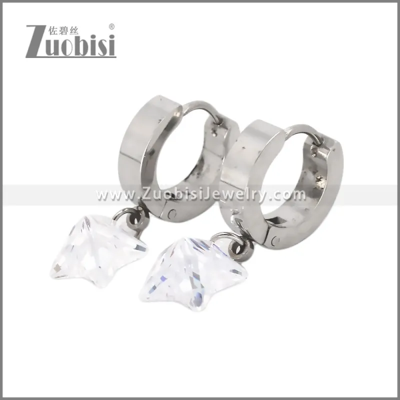 Stainless Steel Earring e002710