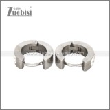 Stainless Steel Earring e002717S
