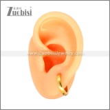 Stainless Steel Earring e002716G