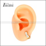 Stainless Steel Earring e002717G