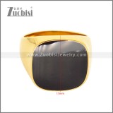 Stainless Steel Ring r010333GH