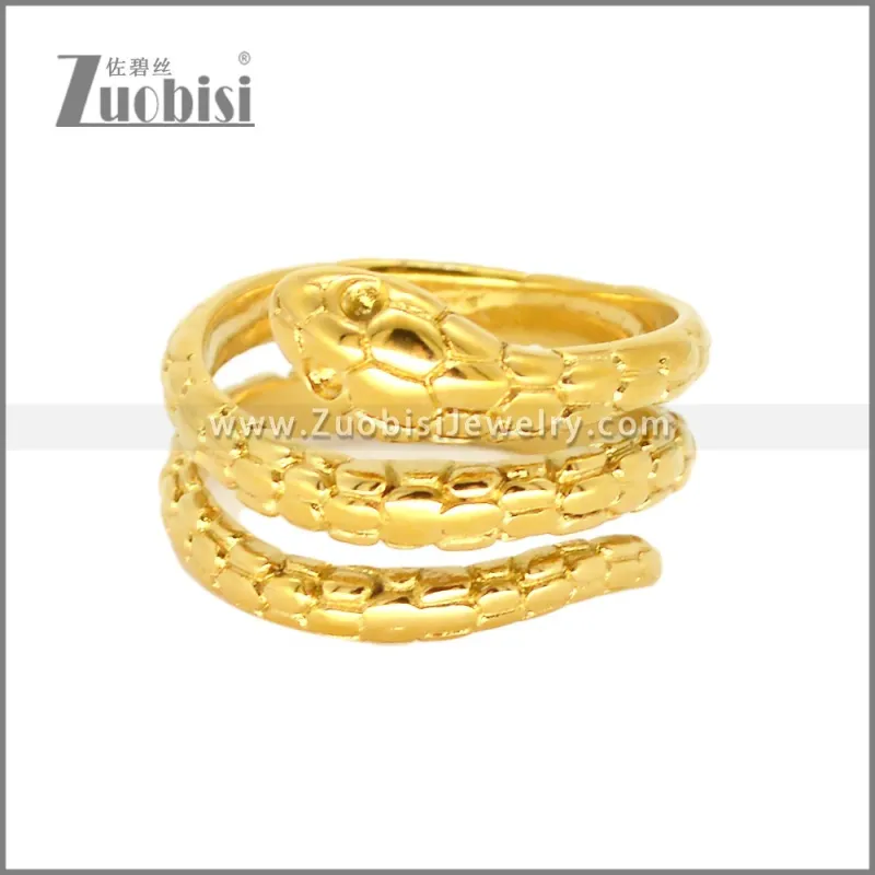 Stainless Steel Ring r010364G1