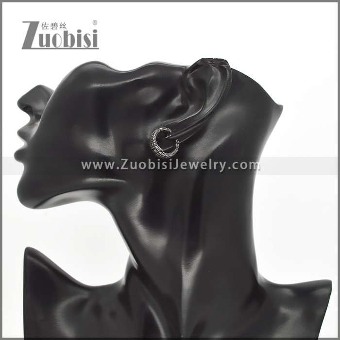 Stainless Steel Earring e002766