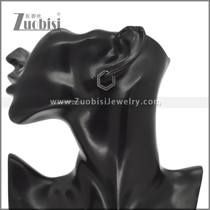 Stainless Steel Earring e002765