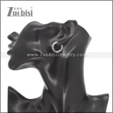 Stainless Steel Earring e002756