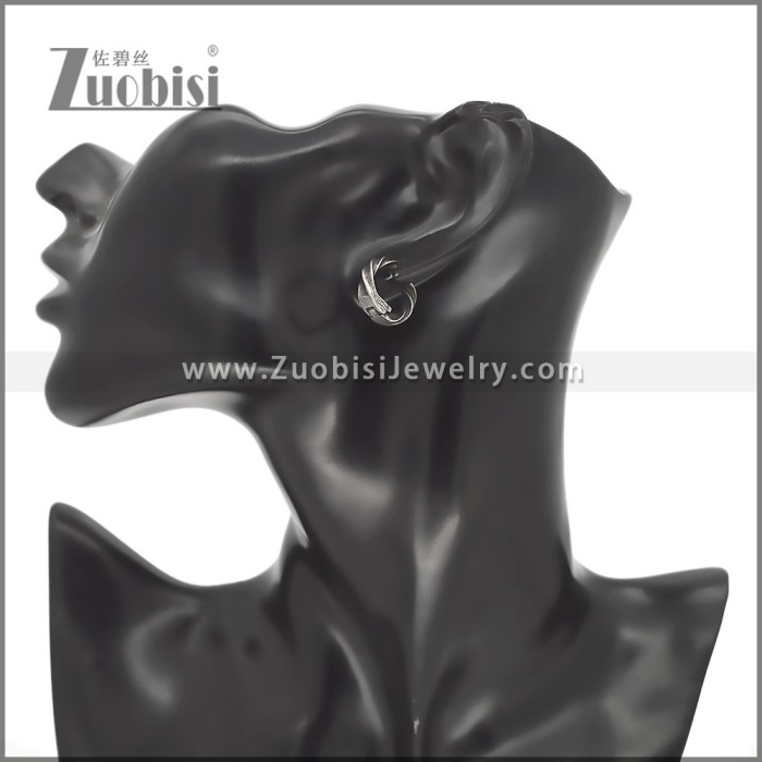 Stainless Steel Earring e002762