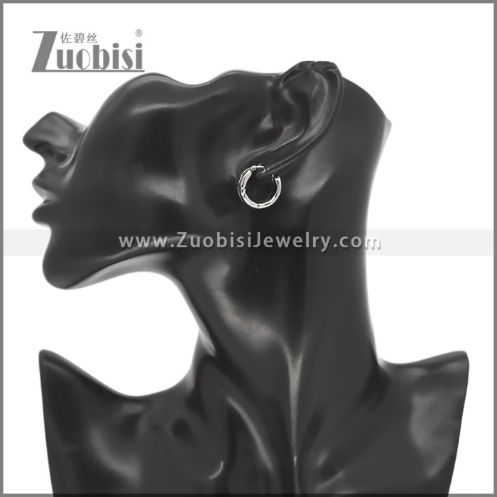 Stainless Steel Earring e002751