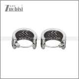 Stainless Steel Earring e002753
